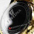 Часы Festina Timeless Chrono F20634/2 фото 8